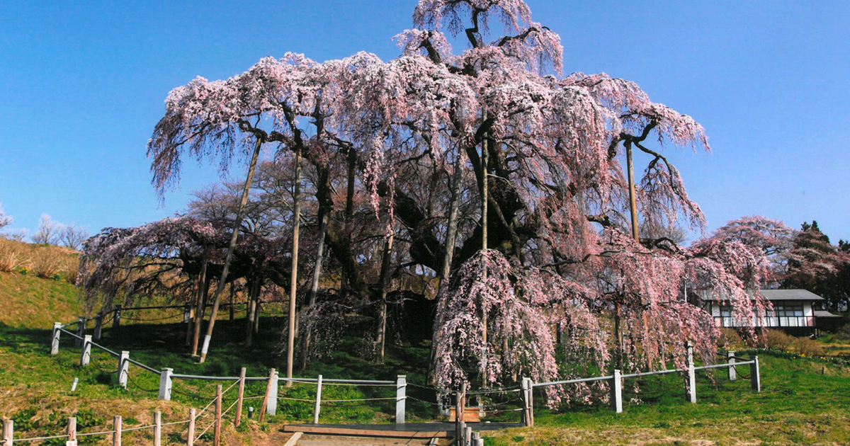 皆既月食観察会